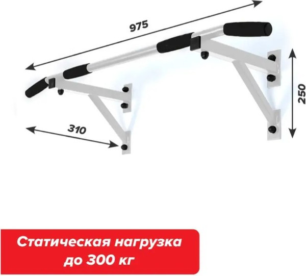 Турник Absolute Champion Aktiv Настенный / АЧ 9950
