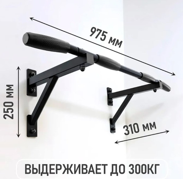 Турник Absolute Champion Aktiv Настенный / АЧ 9952