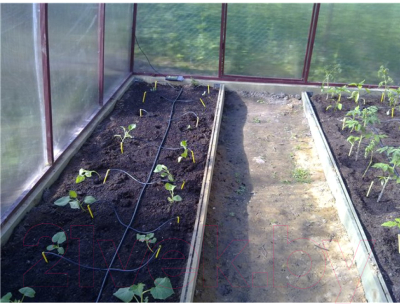 Система капельного полива АкваДуся Start ЖКИ / 12404