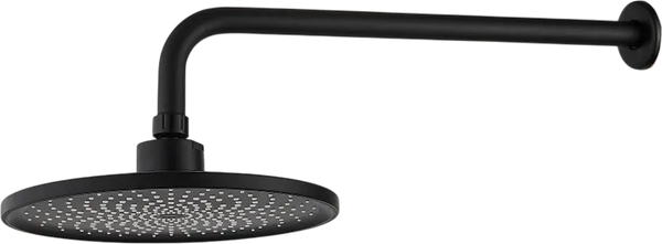 Верхний душ Diadonna D11-1905BL - фото