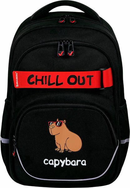 Школьный рюкзак Brauberg Motion. Calm Capy / 272032 - фото