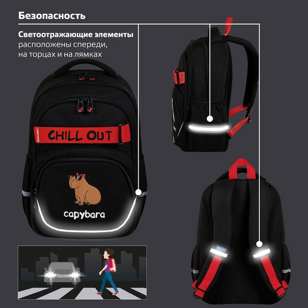 Школьный рюкзак Brauberg Motion. Calm Capy / 272032