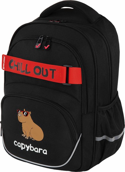 Школьный рюкзак Brauberg Motion. Calm Capy / 272032