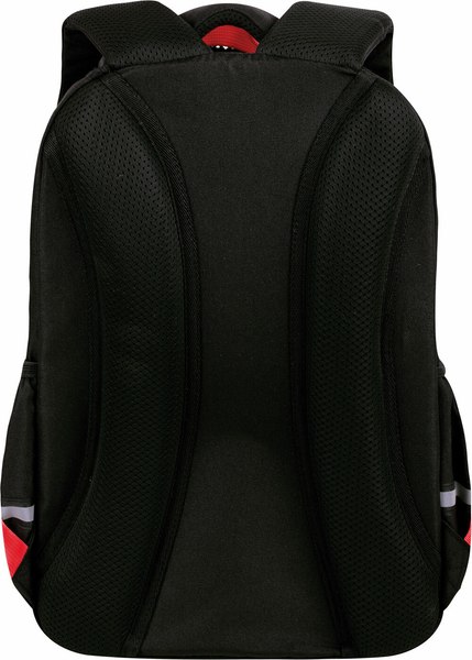 Школьный рюкзак Brauberg Motion. Calm Capy / 272032