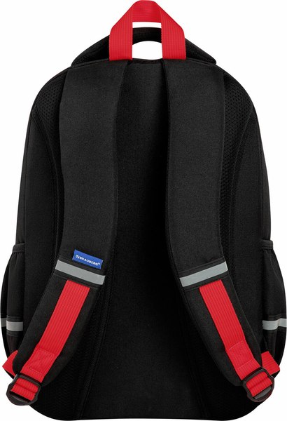 Школьный рюкзак Brauberg Motion. Calm Capy / 272032