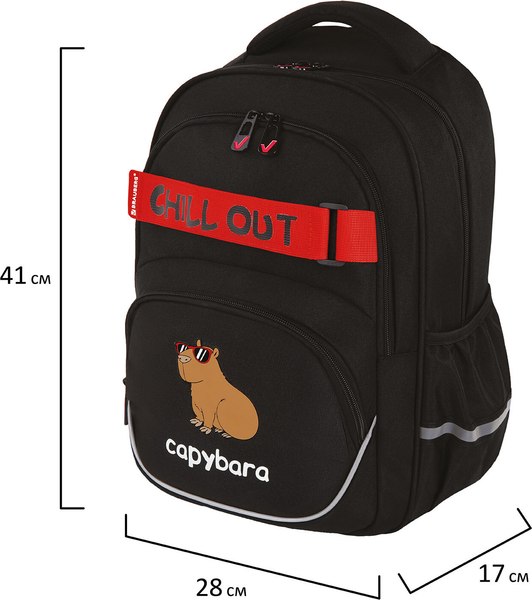 Школьный рюкзак Brauberg Motion. Calm Capy / 272032