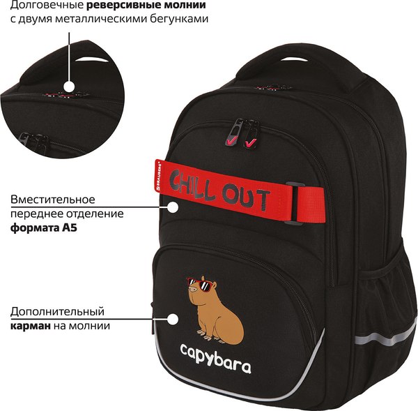 Школьный рюкзак Brauberg Motion. Calm Capy / 272032