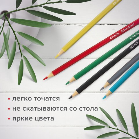 Набор цветных карандашей Brauberg Академия / 181863