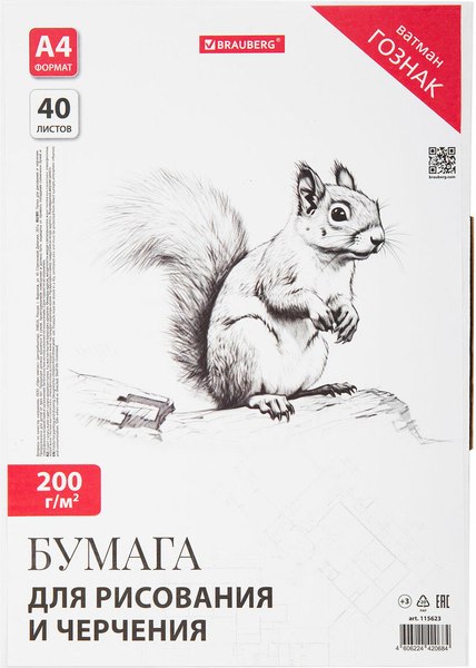 Папка для черчения Brauberg А4 200г/м2 / 115623 - фото