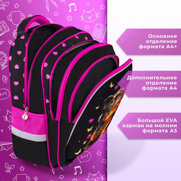 Школьный рюкзак Brauberg Kids. Tiger Cub / 273175