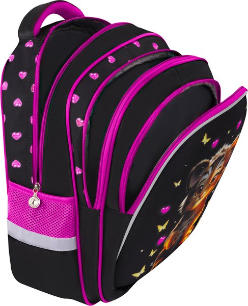 Школьный рюкзак Brauberg Kids. Tiger Cub / 273175