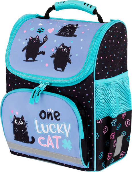 Школьный рюкзак Пифагор Basic. Funny Cats / 273135 - фото