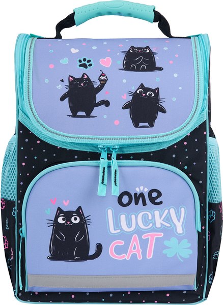 Школьный рюкзак Пифагор Basic. Funny Cats / 273135