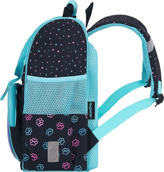 Школьный рюкзак Пифагор Basic. Funny Cats / 273135