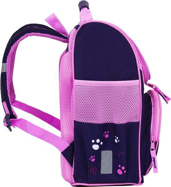 Школьный рюкзак Пифагор Basic. Playing Foxes / 273136