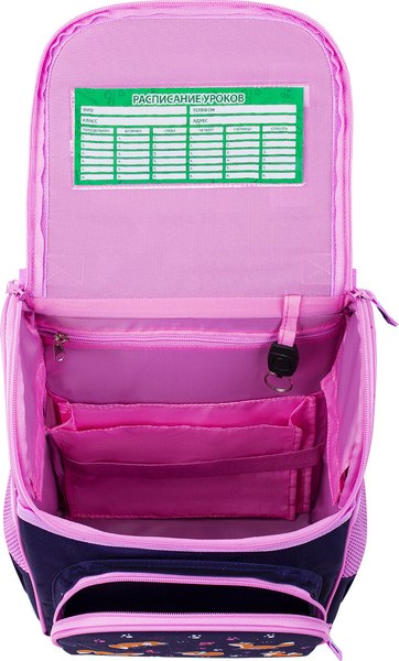 Школьный рюкзак Пифагор Basic. Playing Foxes / 273136