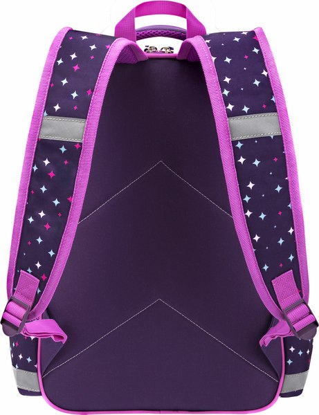 Школьный рюкзак Пифагор School. Leapfrog / 273167