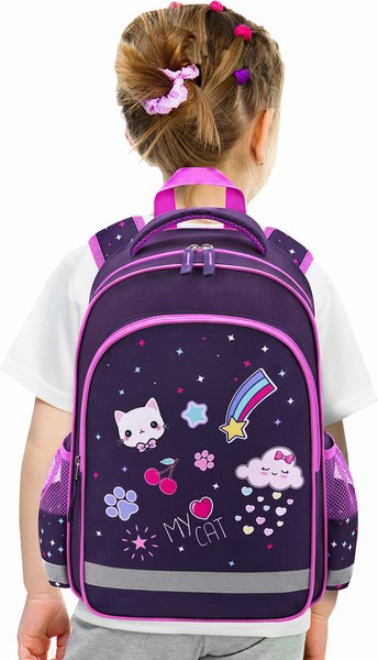 Школьный рюкзак Пифагор School. Leapfrog / 273167