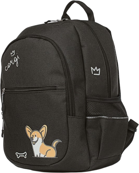 Школьный рюкзак Galanteya 1625 / 25с679к45 - фото