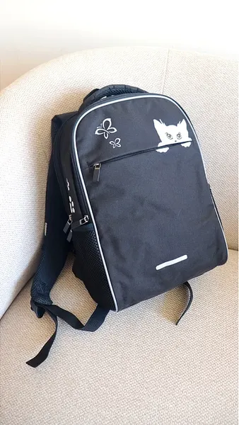 Школьный рюкзак Galanteya 41223 / 24с85к45 - фото