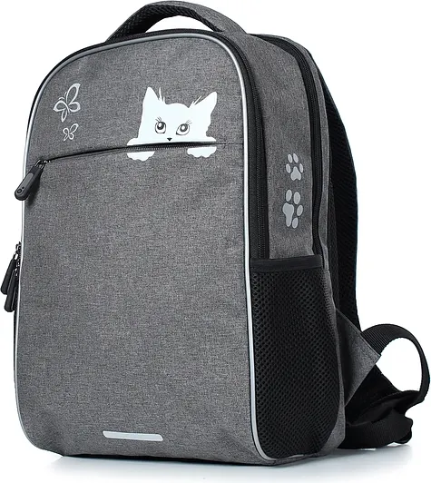 Школьный рюкзак Galanteya 41223 / 24с85к45