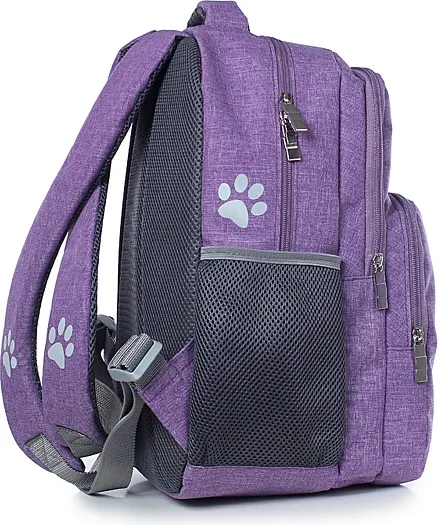 Школьный рюкзак Galanteya 43322 / 23с409к45