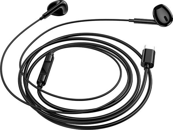 Наушники-гарнитура Borofone BM100 Max Type-C  - фото