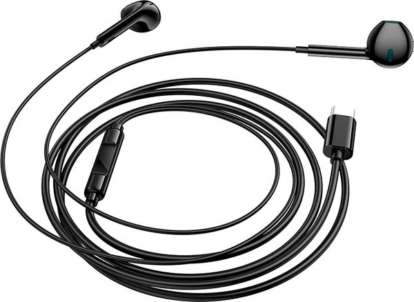 Наушники-гарнитура Borofone BM100 Type-C - фото