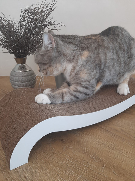 Когтеточка Cat House Мостик М