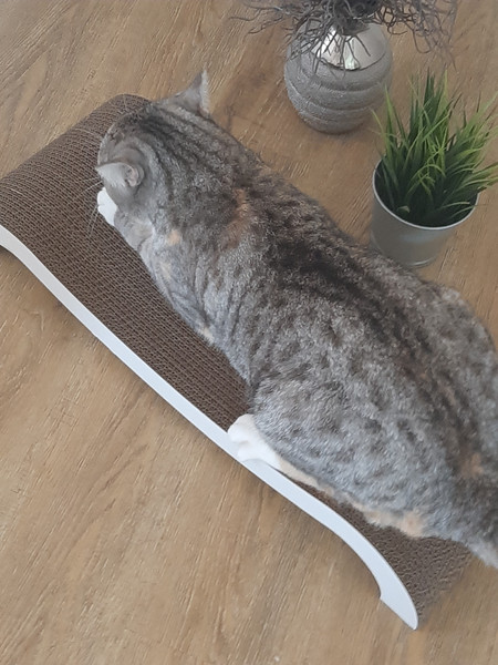 Когтеточка Cat House Мостик М