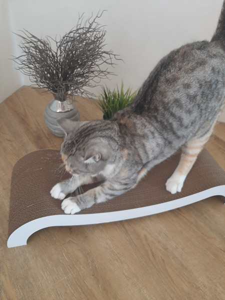 Когтеточка Cat House Мостик М