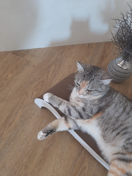 Когтеточка Cat House Мостик М