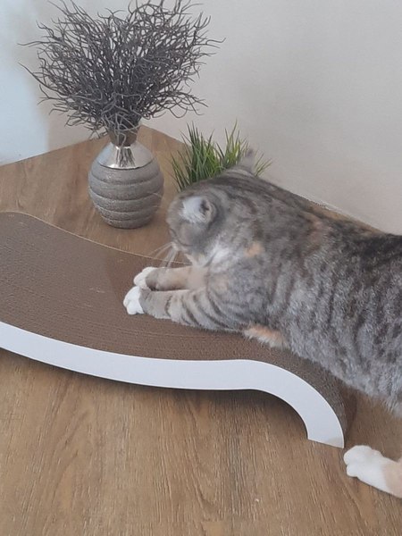 Когтеточка Cat House Мостик L