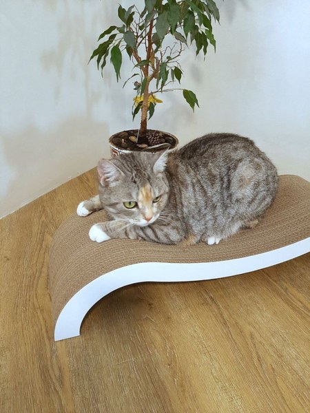 Когтеточка Cat House Мостик L