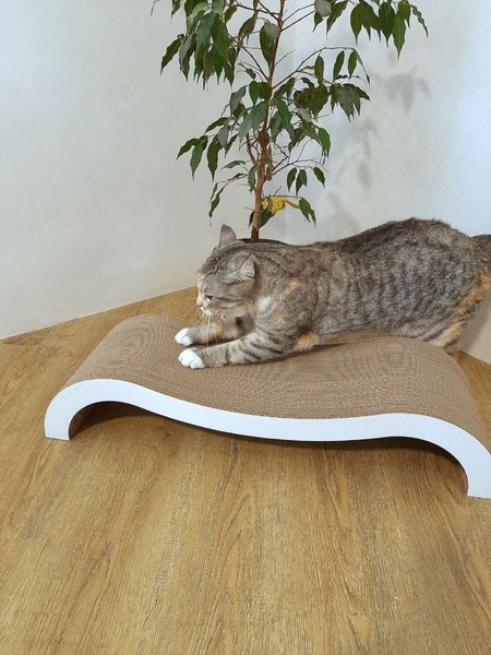 Когтеточка Cat House Мостик L