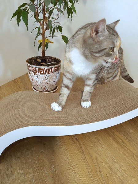 Когтеточка Cat House Мостик L