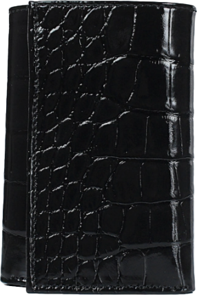 Портмоне Galanteya 16309 / 25с343к45