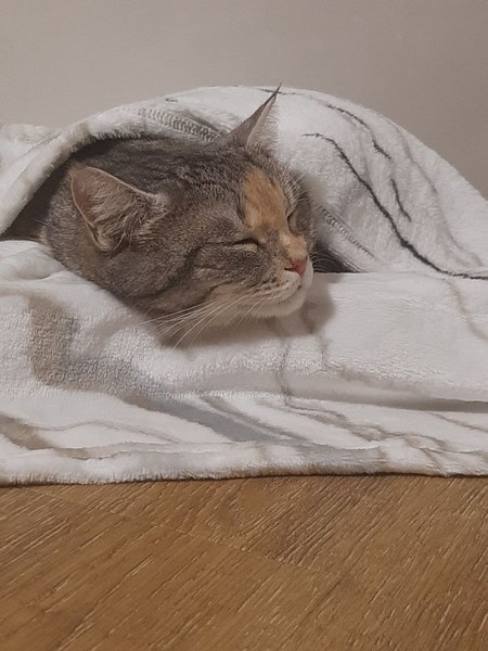 Подстилка для животных Cat House Прямоугольная M