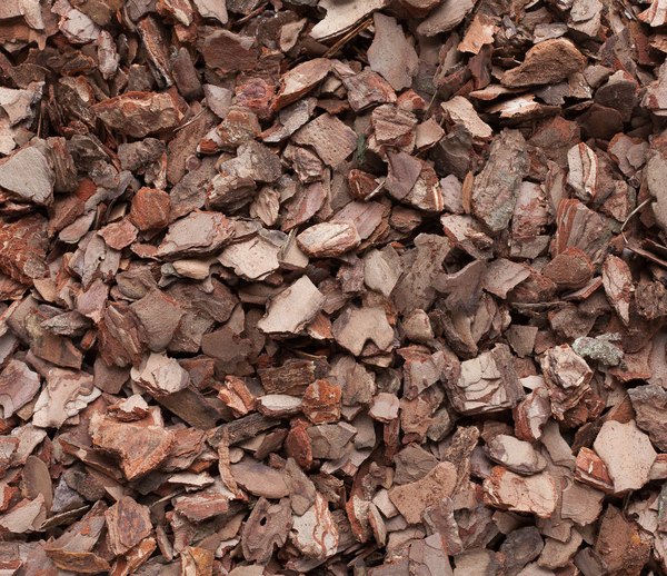 Мульча для растений Leshy Кора деревьев хвойных пород средняя - фото