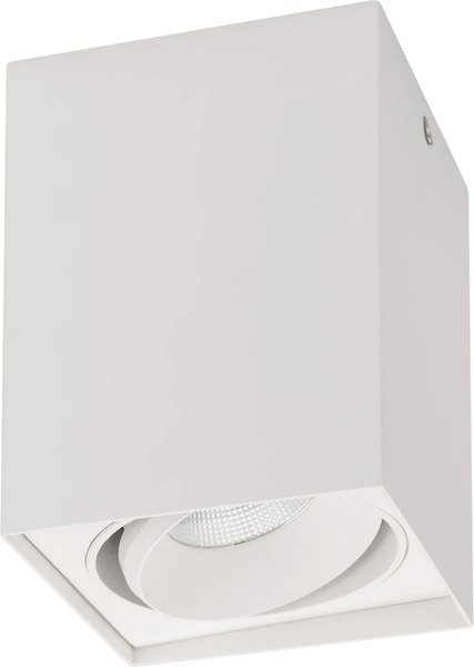 Точечный светильник Arlight SP-CUBUS-S100x100-11W Day4000 WH 40deg / 023078(2) - фото