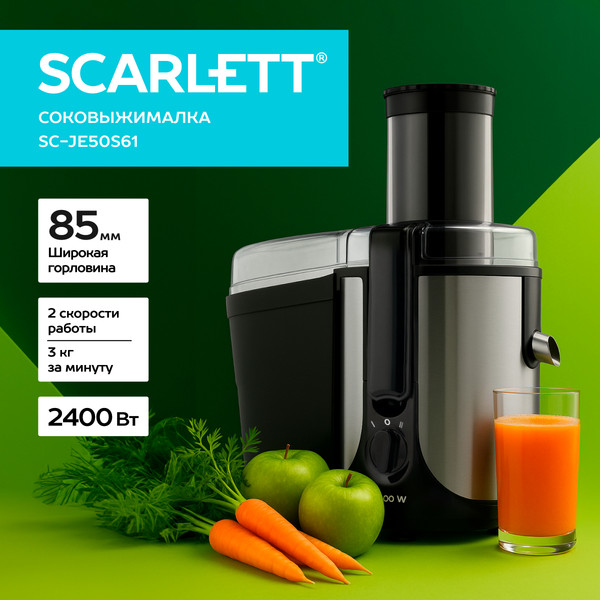 Соковыжималка электрическая Scarlett SC-JE50S61 (сталь)