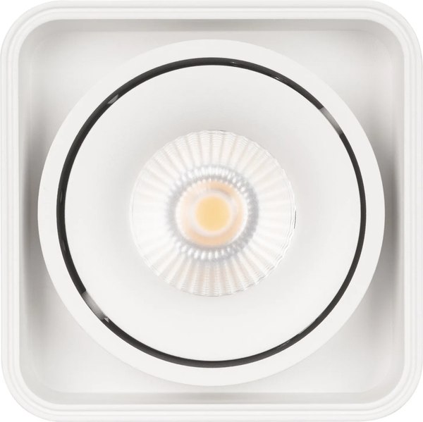 Точечный светильник Arlight SP-CUBUS-S100x100-8W Warm3000 WH 45deg / 036051