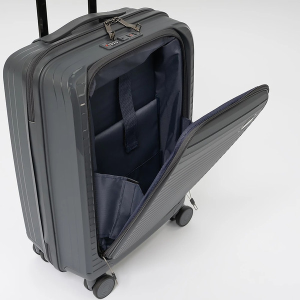 Чемодан на колесах Francesco Molinary 344-PP31/2-20DGR