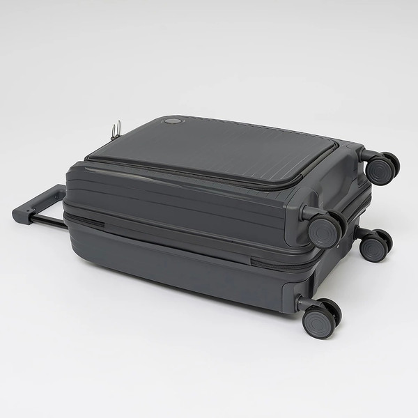 Чемодан на колесах Francesco Molinary 344-PP31/2-20DGR