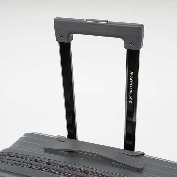 Чемодан на колесах Francesco Molinary 344-PP31/2-20DGR