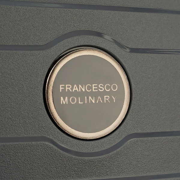 Чемодан на колесах Francesco Molinary 344-PP31/2-20DGR