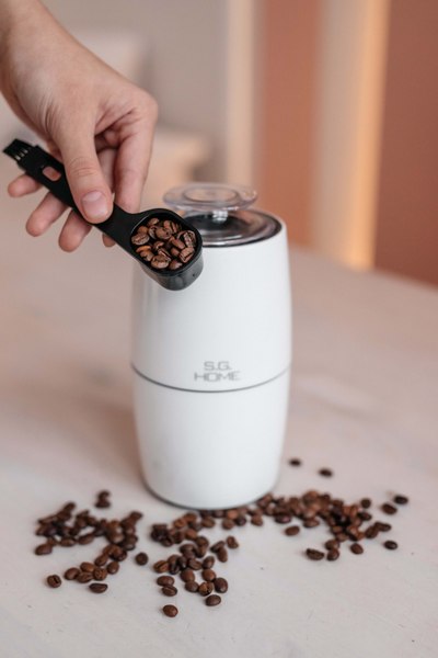 Кофемолка S.G. Home SG7