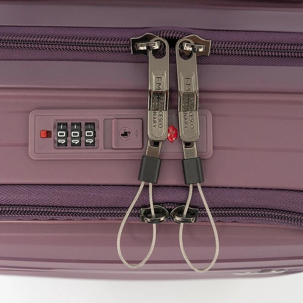 Чемодан на колесах Francesco Molinary 344-PP31/2-20VLT