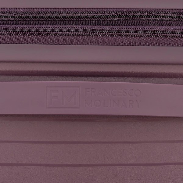 Чемодан на колесах Francesco Molinary 344-PP31/2-20VLT