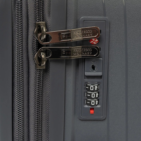 Чемодан на колесах Francesco Molinary 344-PP31/2-24DGR